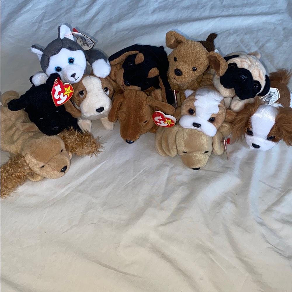Beanie Baby Puppy Pack!